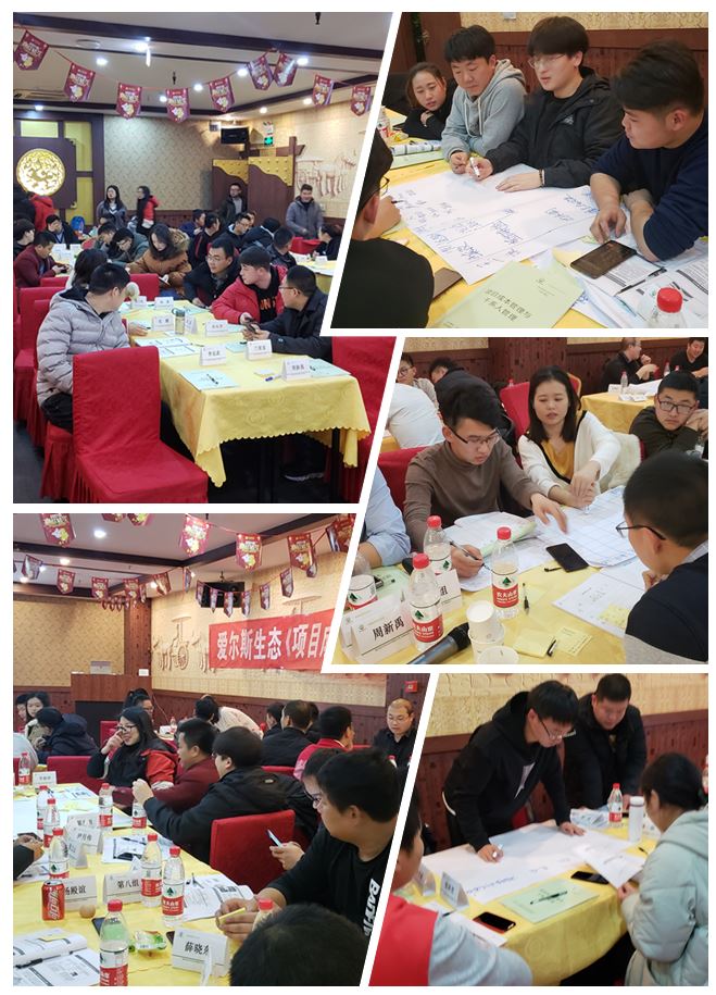 愛爾斯水生態(tài).JPG